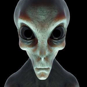 Meet your Posher, Walker